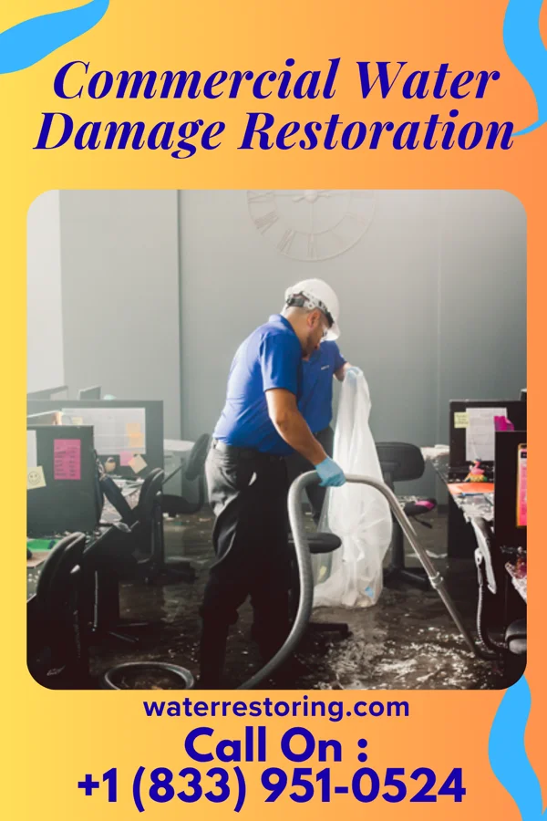 Commercial Water Damage Restoration in Bothell East, WA